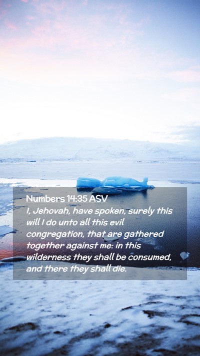 Picture 02 - Numbers 14:35 ASV Mobile Phone Wallpaper - I, Jehovah, have spoken, surely this will I do - Mobile Bible Verse Wallpaper
