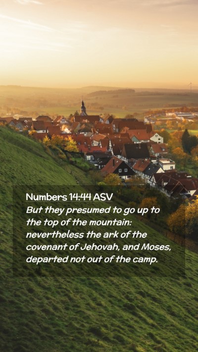 Picture 02 - Numbers 14:44 ASV Mobile Phone Wallpaper - But they presumed to go up to the top of the - Mobile Bible Verse Wallpaper