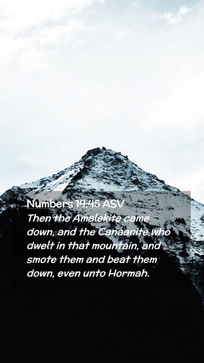 Picture 02 - Numbers 14:45 ASV Mobile Phone Wallpaper - Then the Amalekite came down, and the Canaanite - Mobile Bible Verse Wallpaper