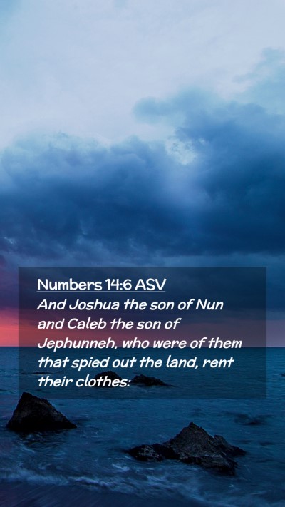 Picture 02 - Numbers 14:6 ASV Mobile Phone Wallpaper - And Joshua the son of Nun and Caleb the son of - Mobile Bible Verse Wallpaper