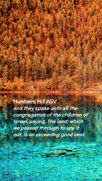 Picture 02 - Numbers 14:7 ASV Mobile Phone Wallpaper - and they spake unto all the congregation of the - Mobile Bible Verse Wallpaper