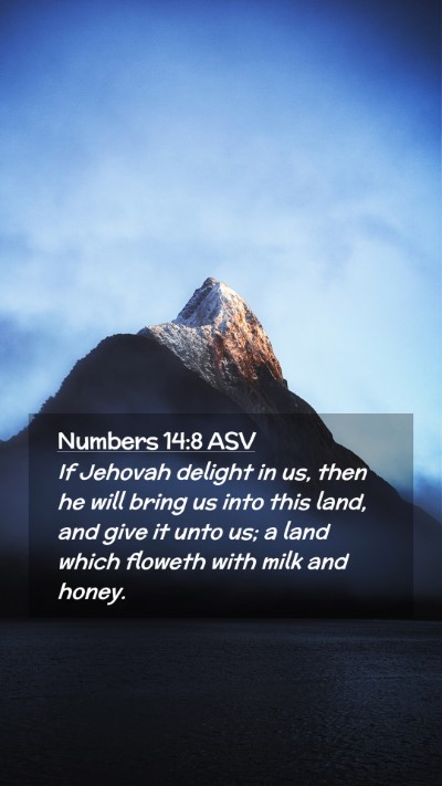 Picture 02 - Numbers 14:8 ASV Mobile Phone Wallpaper - If Jehovah delight in us, then he will bring us - Mobile Bible Verse Wallpaper