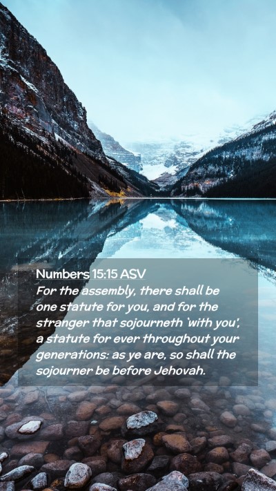 Picture 02 - Numbers 15:15 ASV Mobile Phone Wallpaper - For the assembly, there shall be one statute for - Mobile Bible Verse Wallpaper
