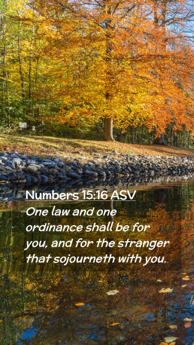 Picture 02 - Numbers 15:16 ASV Mobile Phone Wallpaper - One law and one ordinance shall be for you, and - Mobile Bible Verse Wallpaper