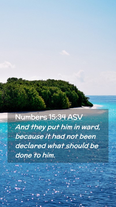 Picture 02 - Numbers 15:34 ASV Mobile Phone Wallpaper - And they put him in ward, because it had not been - Mobile Bible Verse Wallpaper