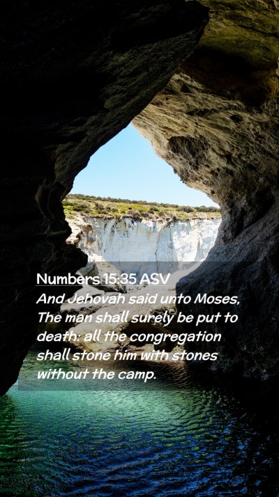 Picture 02 - Numbers 15:35 ASV Mobile Phone Wallpaper - And Jehovah said unto Moses, The man shall surely - Mobile Bible Verse Wallpaper