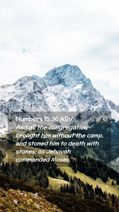 Picture 02 - Numbers 15:36 ASV Mobile Phone Wallpaper - And all the congregation brought him without the - Mobile Bible Verse Wallpaper