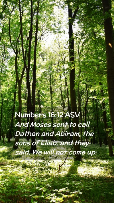 Picture 02 - Numbers 16:12 ASV Mobile Phone Wallpaper - And Moses sent to call Dathan and Abiram, the - Mobile Bible Verse Wallpaper
