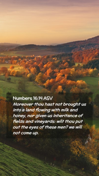 Picture 02 - Numbers 16:14 ASV Mobile Phone Wallpaper - Moreover thou hast not brought us into a land - Mobile Bible Verse Wallpaper