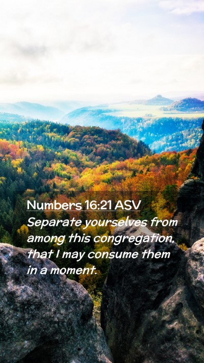 Picture 02 - Numbers 16:21 ASV Mobile Phone Wallpaper - Separate yourselves from among this congregation, - Mobile Bible Verse Wallpaper