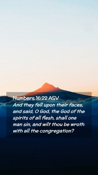 Picture 02 - Numbers 16:22 ASV Mobile Phone Wallpaper - And they fell upon their faces, and said, O God, - Mobile Bible Verse Wallpaper