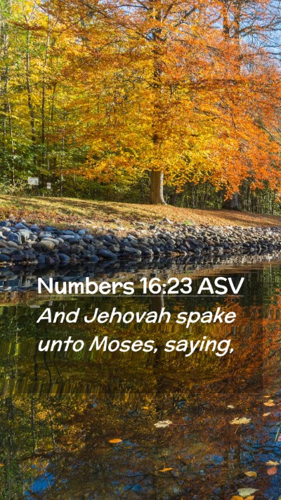 Picture 02 - Numbers 16:23 ASV Mobile Phone Wallpaper - And Jehovah spake unto Moses, - Mobile Bible Verse Wallpaper