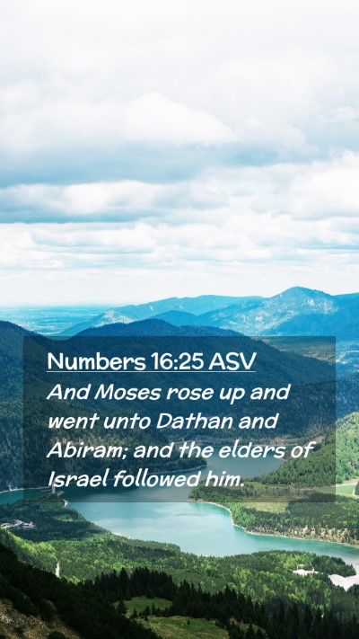 Picture 02 - Numbers 16:25 ASV Mobile Phone Wallpaper - And Moses rose up and went unto Dathan and - Mobile Bible Verse Wallpaper