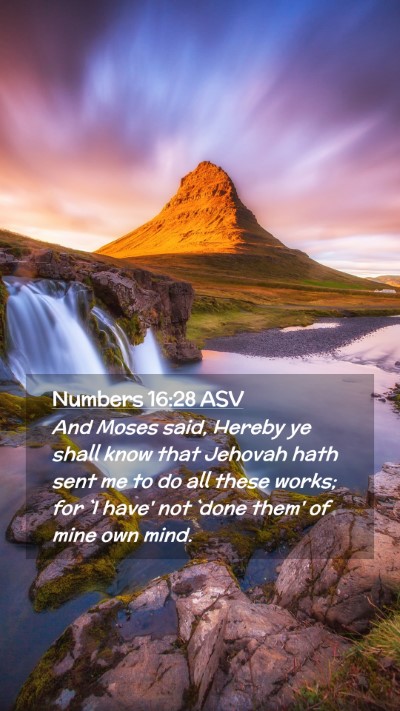 Picture 02 - Numbers 16:28 ASV Mobile Phone Wallpaper - And Moses said, Hereby ye shall know that Jehovah - Mobile Bible Verse Wallpaper