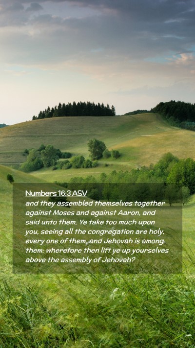 Picture 02 - Numbers 16:3 ASV Mobile Phone Wallpaper - and they assembled themselves together against - Mobile Bible Verse Wallpaper