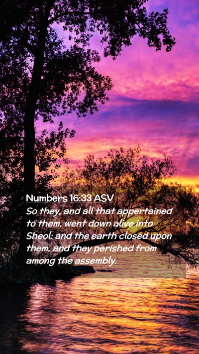 Picture 02 - Numbers 16:33 ASV Mobile Phone Wallpaper - So they, and all that appertained to them, went - Mobile Bible Verse Wallpaper