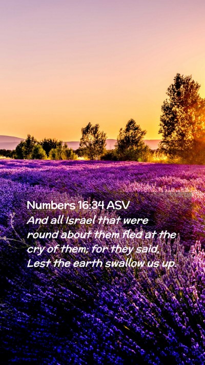 Picture 02 - Numbers 16:34 ASV Mobile Phone Wallpaper - And all Israel that were round about them fled at - Mobile Bible Verse Wallpaper