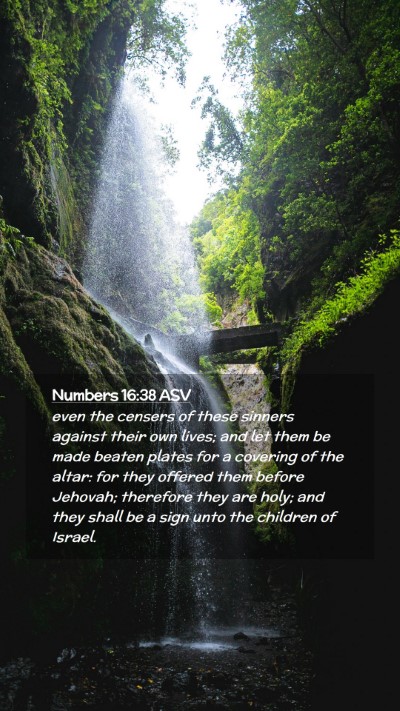 Picture 02 - Numbers 16:38 ASV Mobile Phone Wallpaper - even the censers of these sinners against their - Mobile Bible Verse Wallpaper