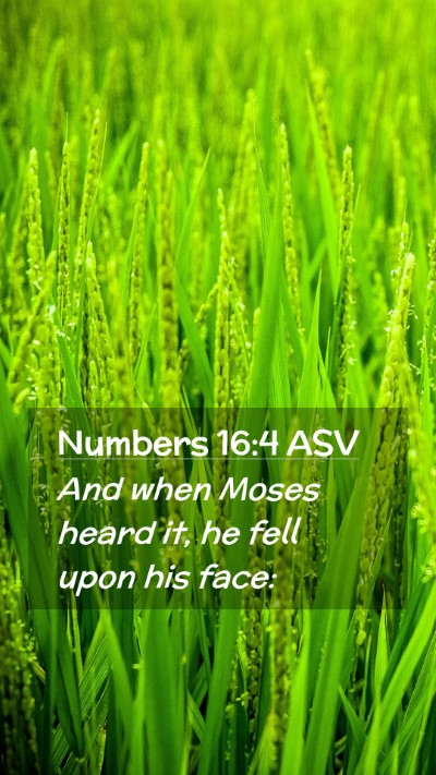 Picture 02 - Numbers 16:4 ASV Mobile Phone Wallpaper - And when Moses heard it, he fell upon his - Mobile Bible Verse Wallpaper