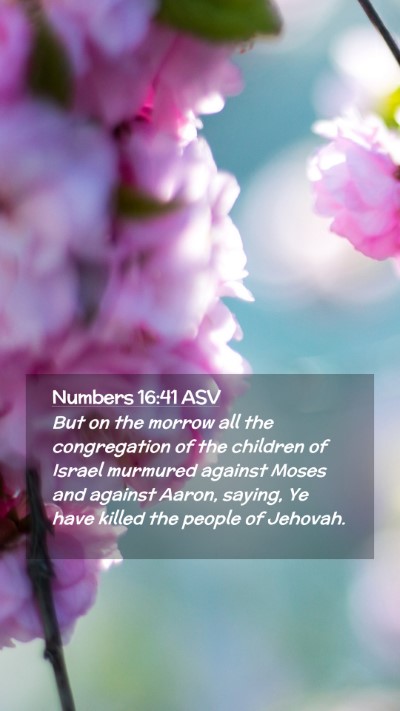 Picture 02 - Numbers 16:41 ASV Mobile Phone Wallpaper - But on the morrow all the congregation of the - Mobile Bible Verse Wallpaper