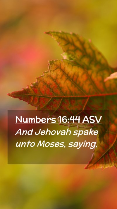 Picture 02 - Numbers 16:44 ASV Mobile Phone Wallpaper - And Jehovah spake unto Moses, - Mobile Bible Verse Wallpaper