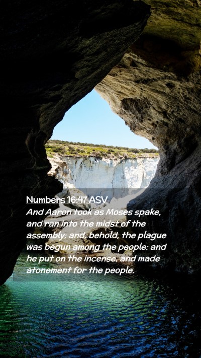 Picture 02 - Numbers 16:47 ASV Mobile Phone Wallpaper - And Aaron took as Moses spake, and ran into the - Mobile Bible Verse Wallpaper
