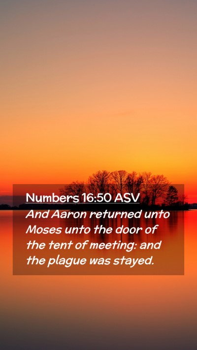 Picture 02 - Numbers 16:50 ASV Mobile Phone Wallpaper - And Aaron returned unto Moses unto the door of - Mobile Bible Verse Wallpaper