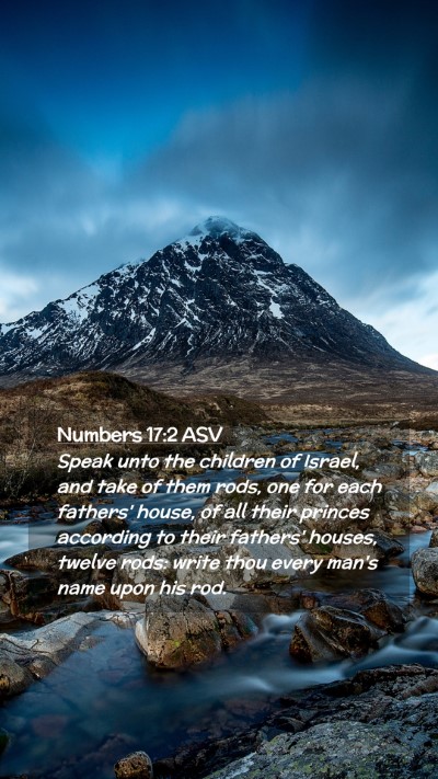 Picture 02 - Numbers 17:2 ASV Mobile Phone Wallpaper - Speak unto the children of Israel, and take of - Mobile Bible Verse Wallpaper