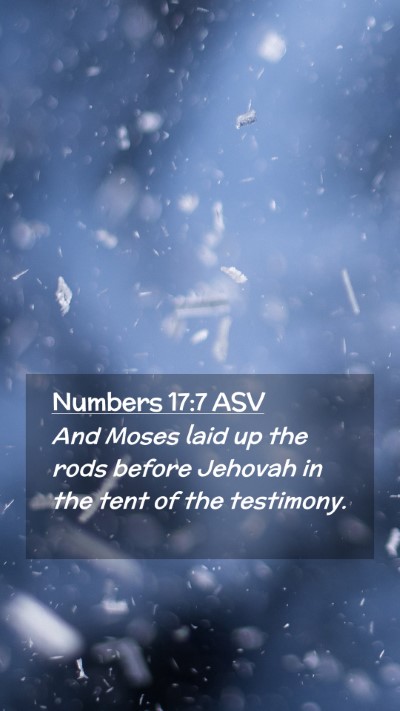 Picture 02 - Numbers 17:7 ASV Mobile Phone Wallpaper - And Moses laid up the rods before Jehovah in the - Mobile Bible Verse Wallpaper