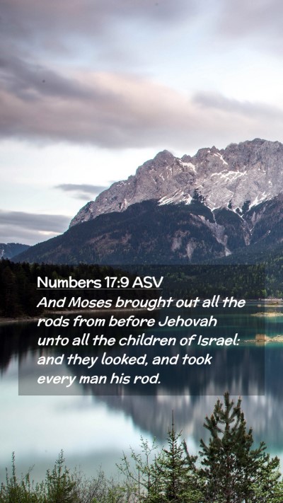 Picture 02 - Numbers 17:9 ASV Mobile Phone Wallpaper - And Moses brought out all the rods from before - Mobile Bible Verse Wallpaper