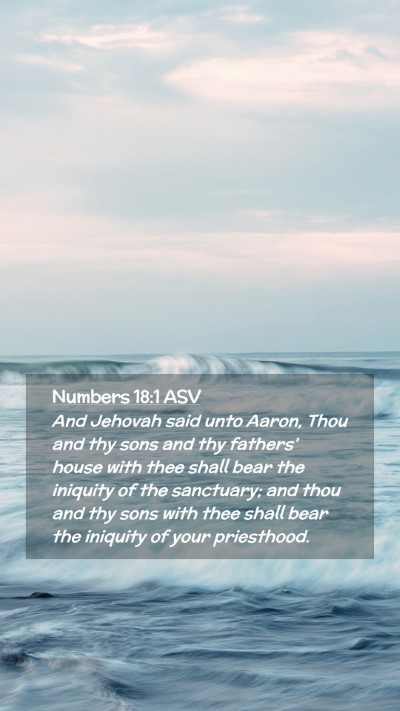 Picture 02 - Numbers 18:1 ASV Mobile Phone Wallpaper - And Jehovah said unto Aaron, Thou and thy sons - Mobile Bible Verse Wallpaper