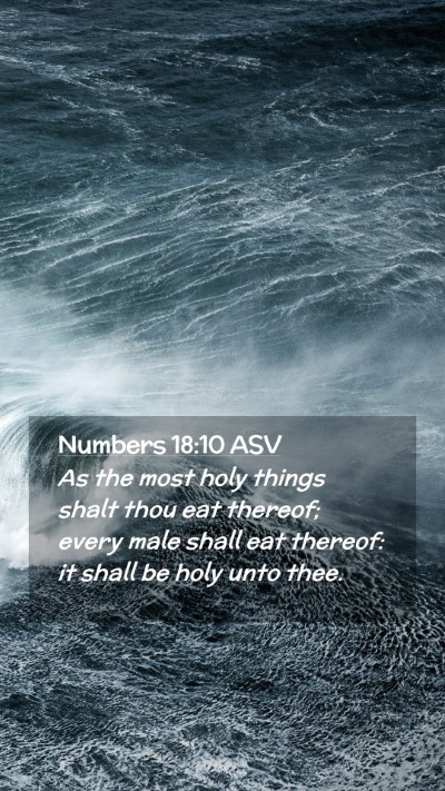 Picture 02 - Numbers 18:10 ASV Mobile Phone Wallpaper - As the most holy things shalt thou eat thereof; - Mobile Bible Verse Wallpaper