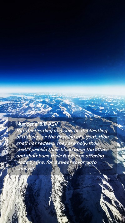 Picture 02 - Numbers 18:17 ASV Mobile Phone Wallpaper - But the firstling of a cow, or the firstling of a - Mobile Bible Verse Wallpaper