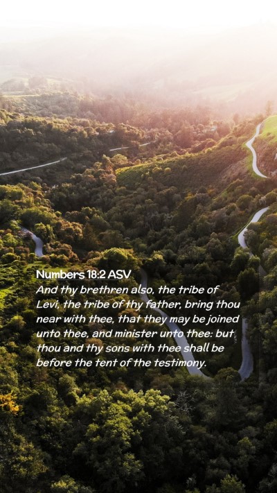Picture 02 - Numbers 18:2 ASV Mobile Phone Wallpaper - And thy brethren also, the tribe of Levi, the - Mobile Bible Verse Wallpaper