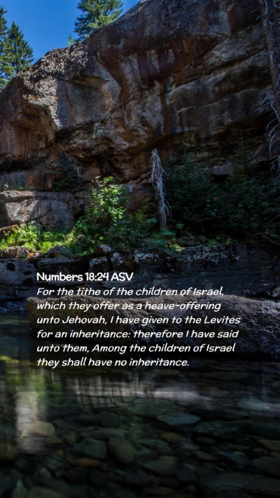 Picture 02 - Numbers 18:24 ASV Mobile Phone Wallpaper - For the tithe of the children of Israel, which - Mobile Bible Verse Wallpaper
