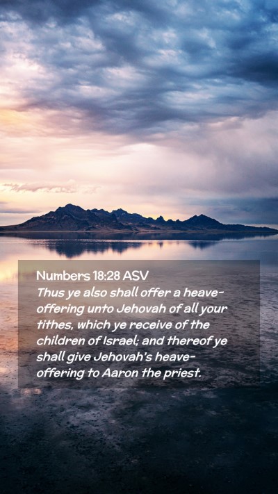 Picture 02 - Numbers 18:28 ASV Mobile Phone Wallpaper - Thus ye also shall offer a heave-offering unto - Mobile Bible Verse Wallpaper