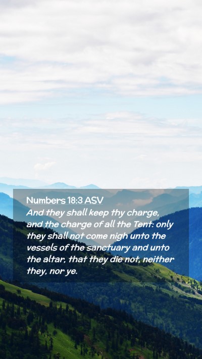Picture 02 - Numbers 18:3 ASV Mobile Phone Wallpaper - And they shall keep thy charge, and the charge of - Mobile Bible Verse Wallpaper