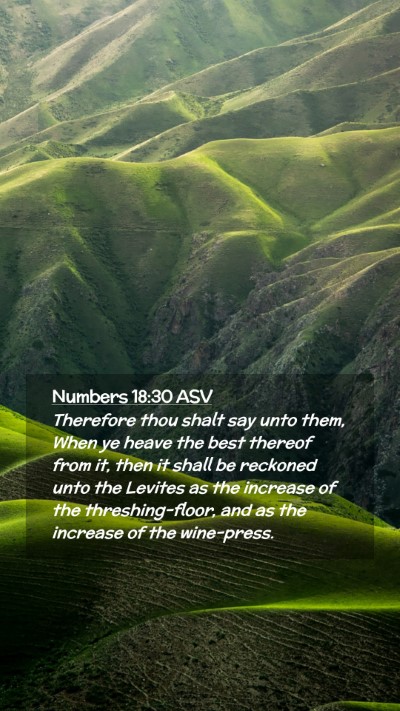 Picture 02 - Numbers 18:30 ASV Mobile Phone Wallpaper - Therefore thou shalt say unto them, When ye heave - Mobile Bible Verse Wallpaper