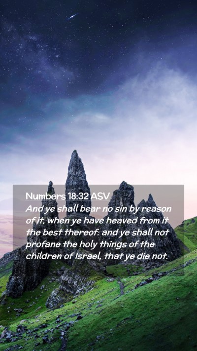 Picture 02 - Numbers 18:32 ASV Mobile Phone Wallpaper - And ye shall bear no sin by reason of it, when ye - Mobile Bible Verse Wallpaper