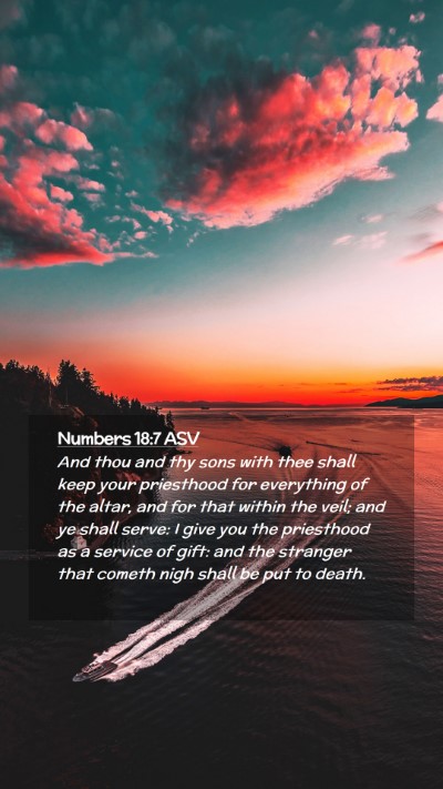 Picture 02 - Numbers 18:7 ASV Mobile Phone Wallpaper - And thou and thy sons with thee shall keep your - Mobile Bible Verse Wallpaper