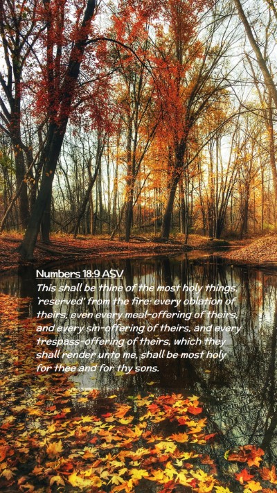 Picture 02 - Numbers 18:9 ASV Mobile Phone Wallpaper - This shall be thine of the most holy things, - Mobile Bible Verse Wallpaper