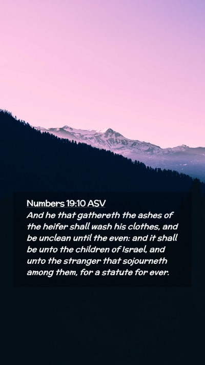 Picture 02 - Numbers 19:10 ASV Mobile Phone Wallpaper - And he that gathereth the ashes of the heifer - Mobile Bible Verse Wallpaper