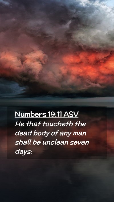 Picture 02 - Numbers 19:11 ASV Mobile Phone Wallpaper - He that toucheth the dead body of any man shall - Mobile Bible Verse Wallpaper