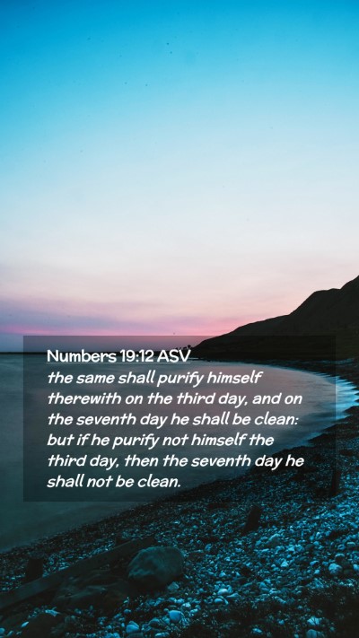 Picture 02 - Numbers 19:12 ASV Mobile Phone Wallpaper - the same shall purify himself therewith on the - Mobile Bible Verse Wallpaper