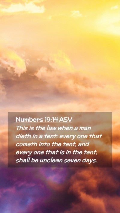 Picture 02 - Numbers 19:14 ASV Mobile Phone Wallpaper - This is the law when a man dieth in a tent: every - Mobile Bible Verse Wallpaper
