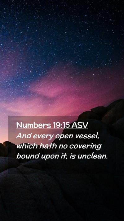 Picture 02 - Numbers 19:15 ASV Mobile Phone Wallpaper - And every open vessel, which hath no covering - Mobile Bible Verse Wallpaper
