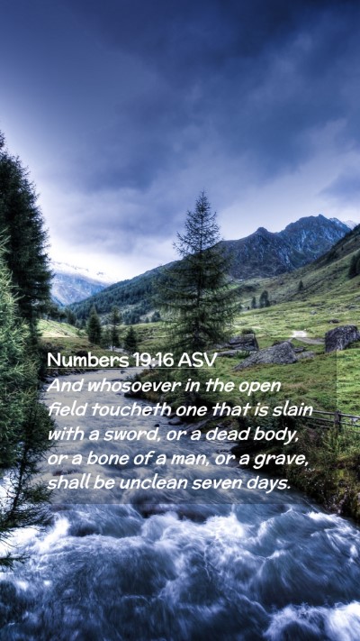 Picture 02 - Numbers 19:16 ASV Mobile Phone Wallpaper - And whosoever in the open field toucheth one that - Mobile Bible Verse Wallpaper