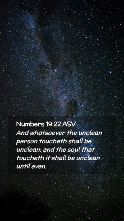 Picture 02 - Numbers 19:22 ASV Mobile Phone Wallpaper - And whatsoever the unclean person toucheth shall - Mobile Bible Verse Wallpaper