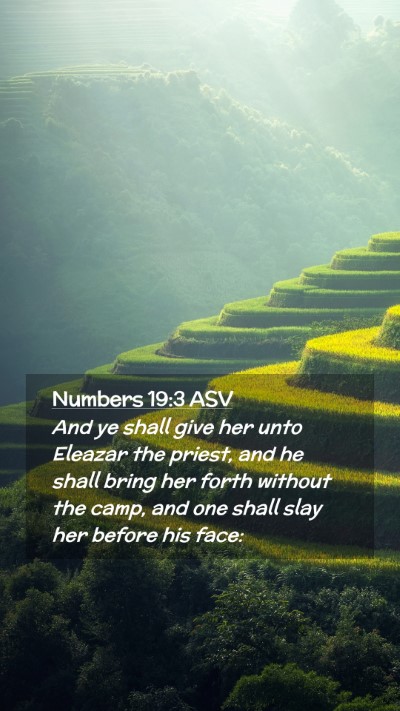 Picture 02 - Numbers 19:3 ASV Mobile Phone Wallpaper - And ye shall give her unto Eleazar the priest, - Mobile Bible Verse Wallpaper