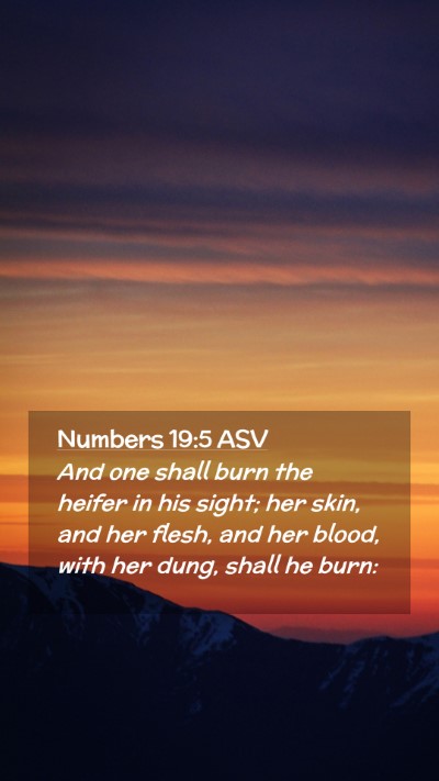 Picture 02 - Numbers 19:5 ASV Mobile Phone Wallpaper - And one shall burn the heifer in his sight; her - Mobile Bible Verse Wallpaper